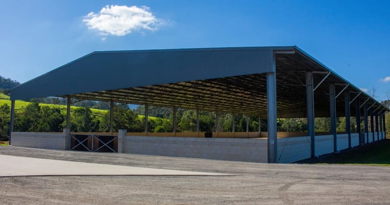 Equine arena costs