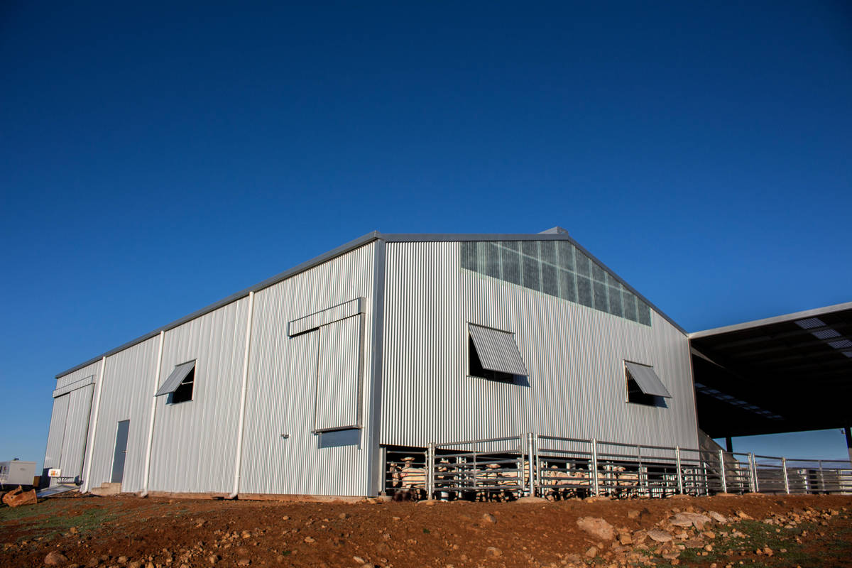 ABC Sheds shearing shed