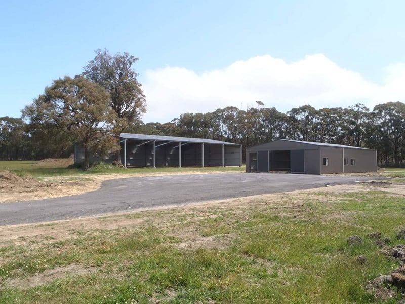 Dressage arena and horse stables at Eureka Horse Wisdom