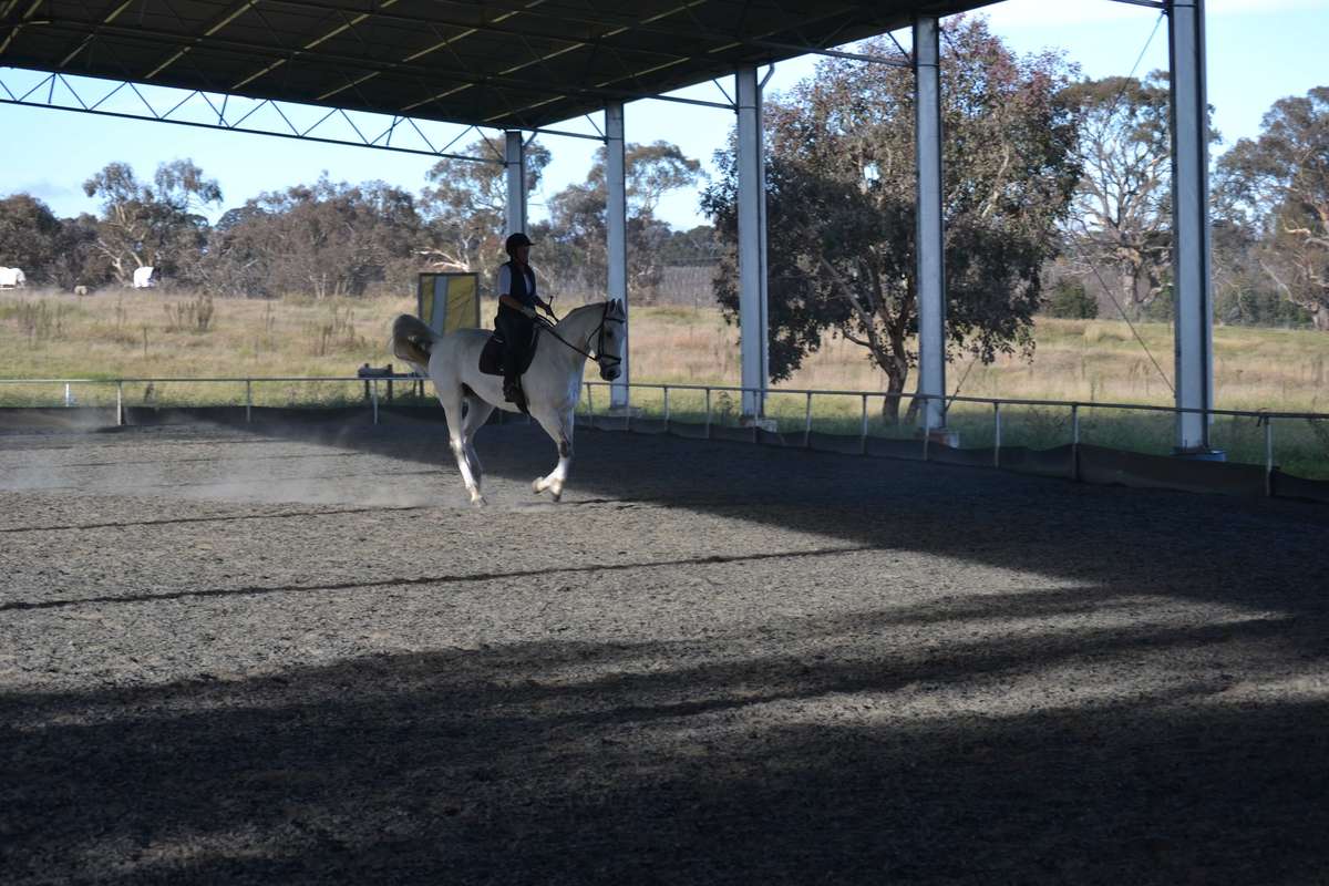 Dressage rider and horse training in a dressage arena