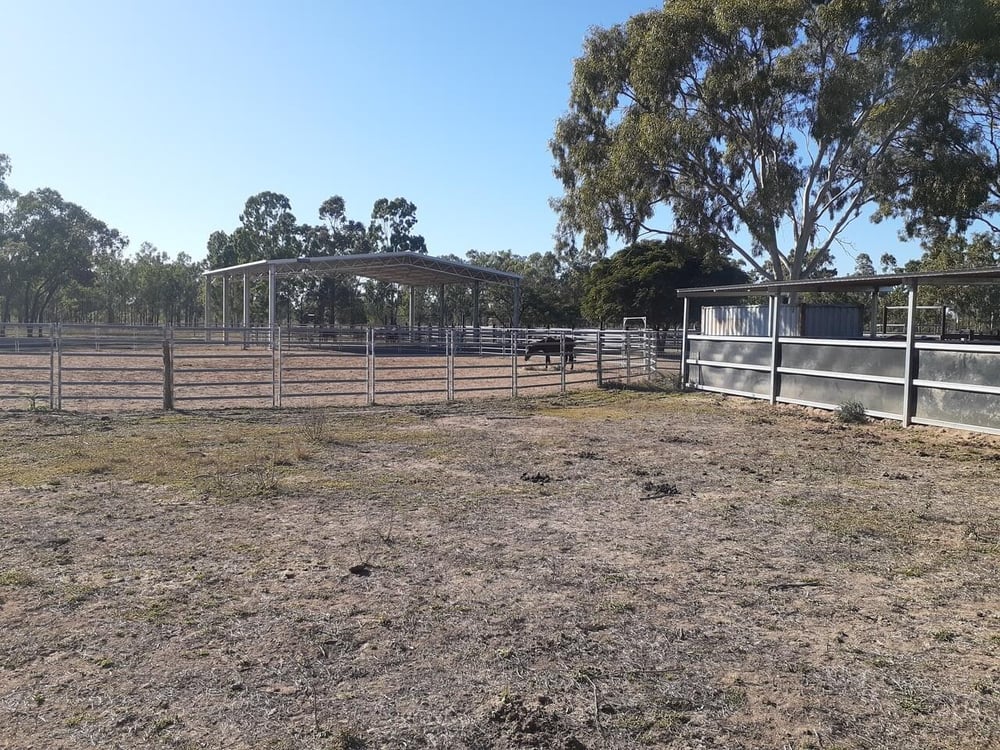 David Stuart's arena cover and horse training grounds