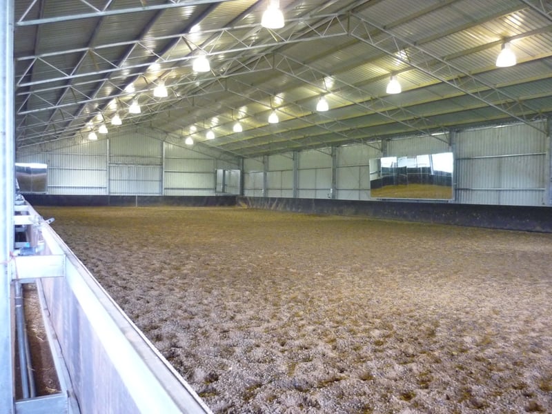 Gwandalan Stables dressage arena