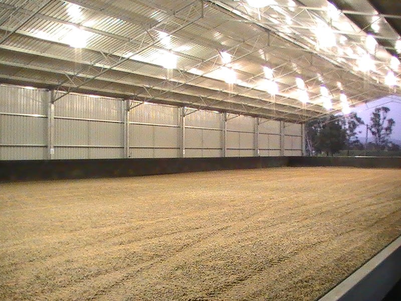 Dressage arena with lights