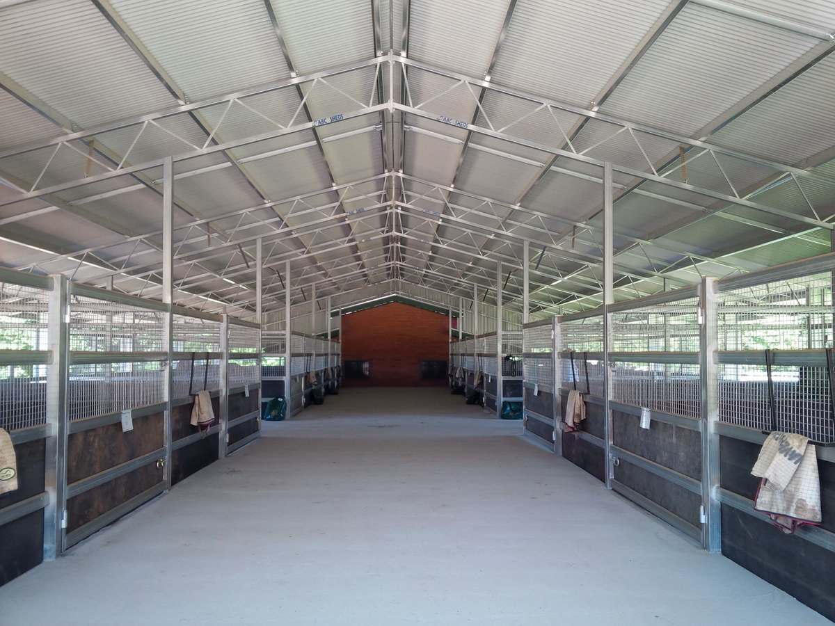 Equestrian shed with individual horse stables