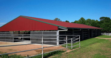 What you need to know about equestrian sheds