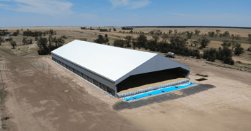 The reasons why grain storage is important