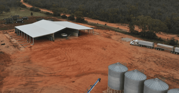 Learn about the differences between grain sheds and grain silos