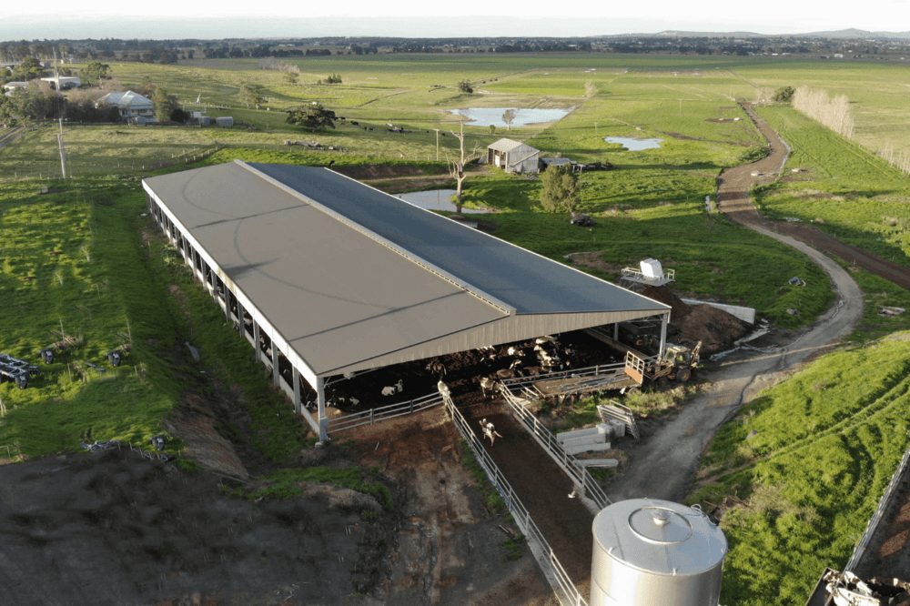 ABC Sheds feedlot shelter