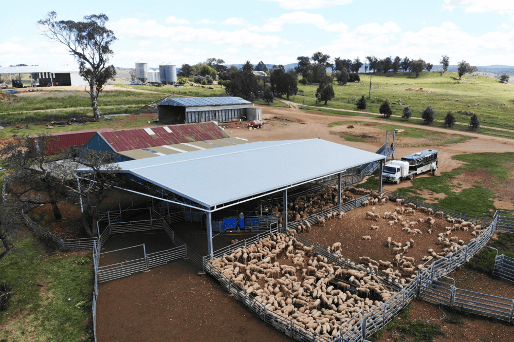 ABC Sheds yard cover