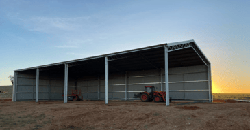 Purlin versus structural steel sheds
