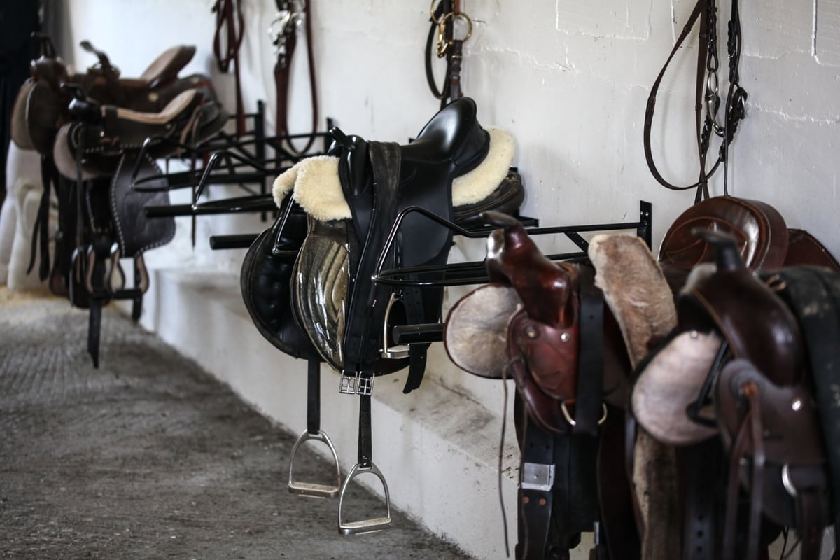 Horse saddles in tack shed