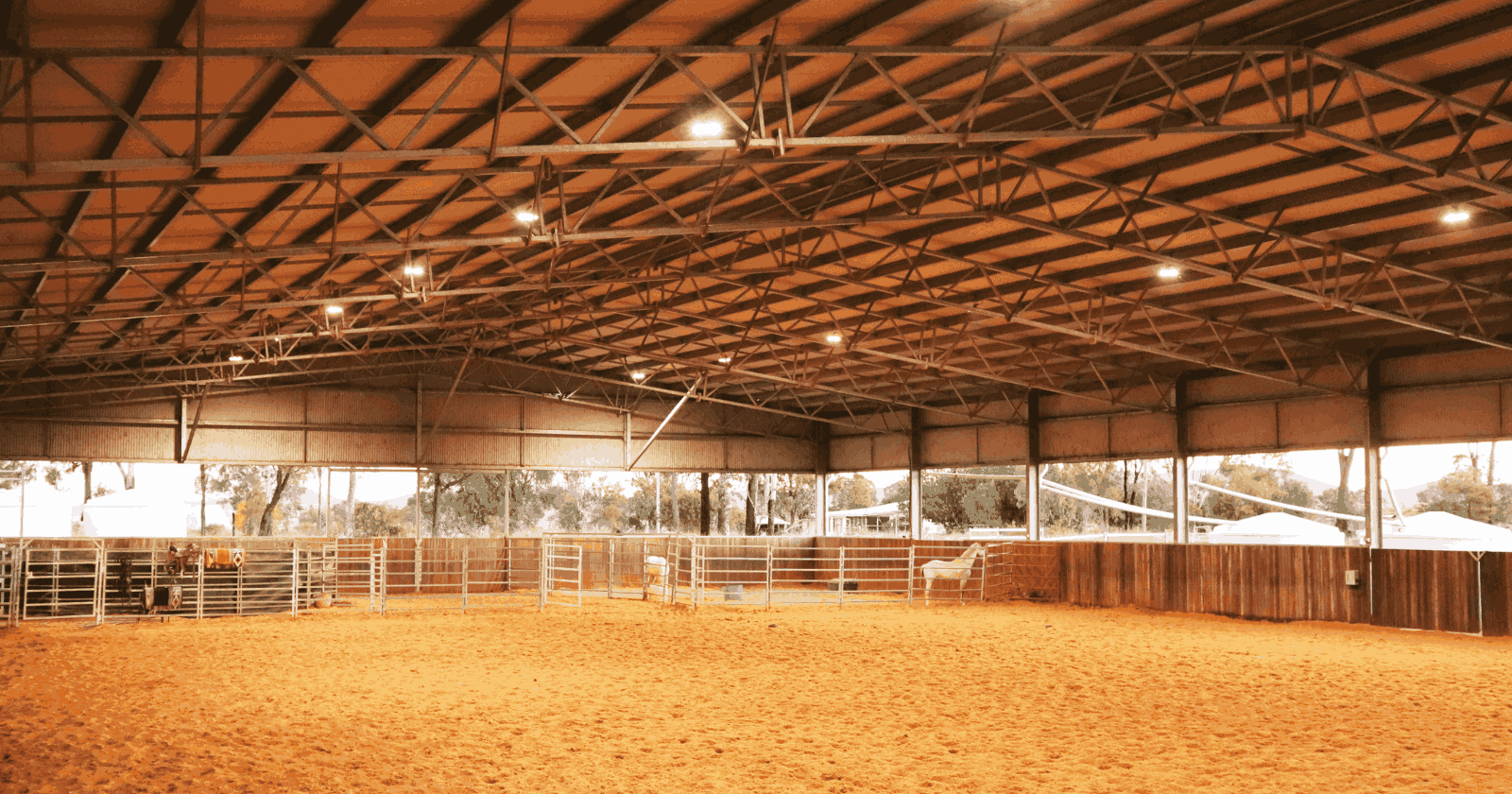 Best horse arena size in 2026