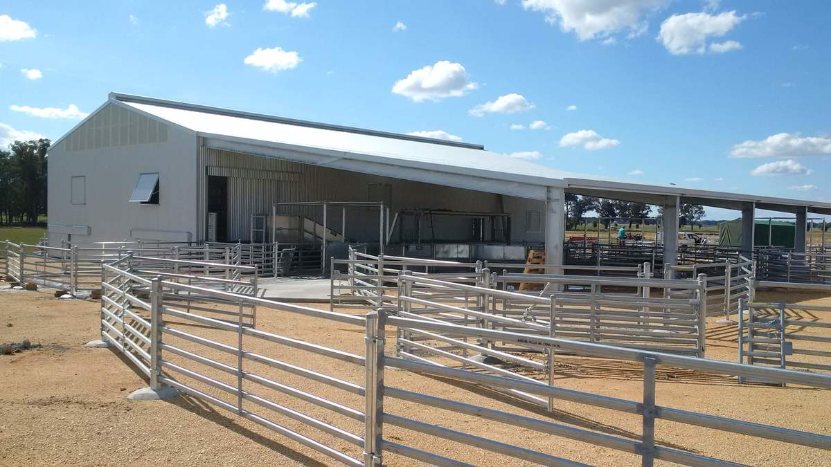 Shearing shed - Cowra