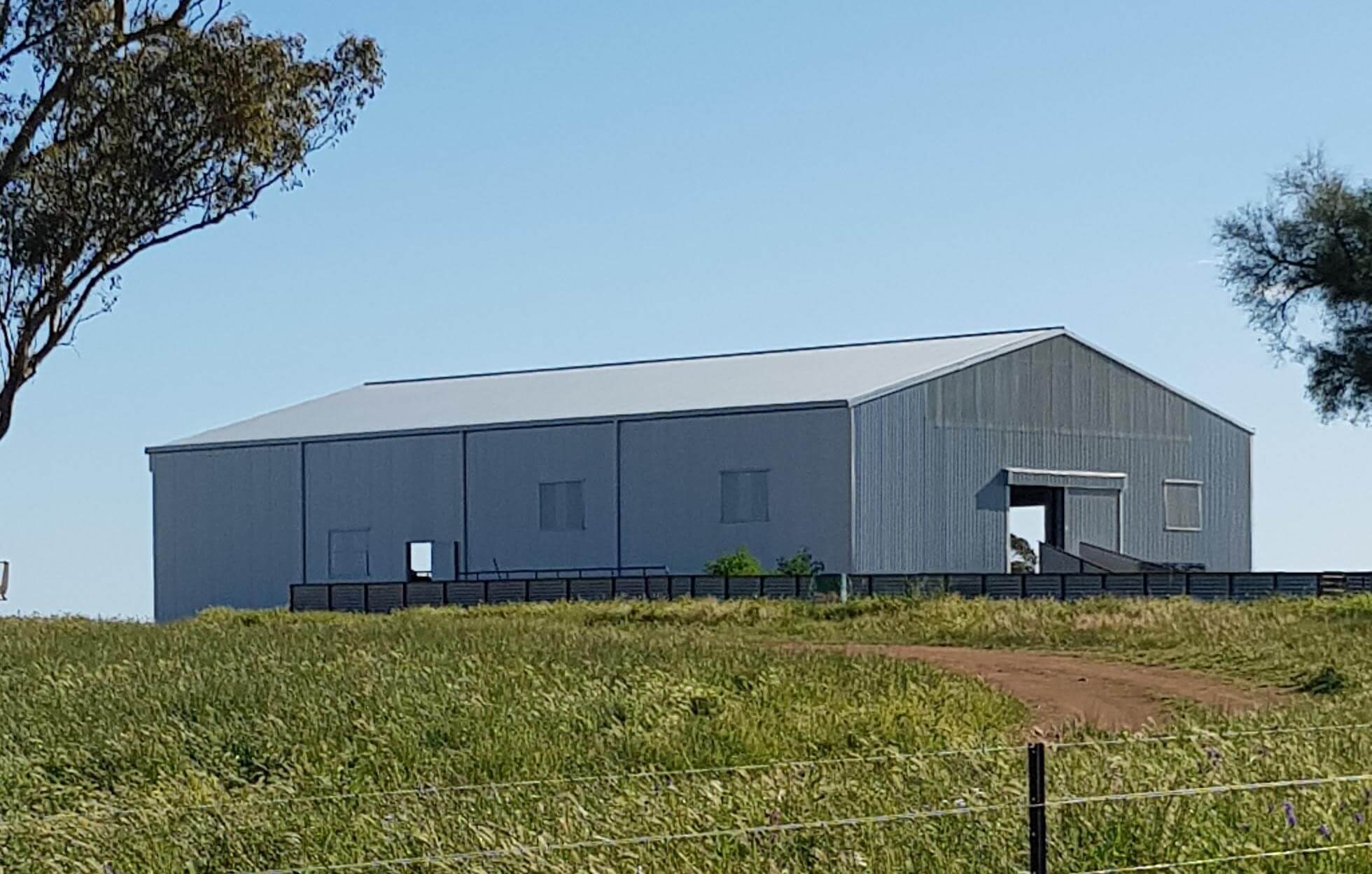 ABC Sheds shearing shed