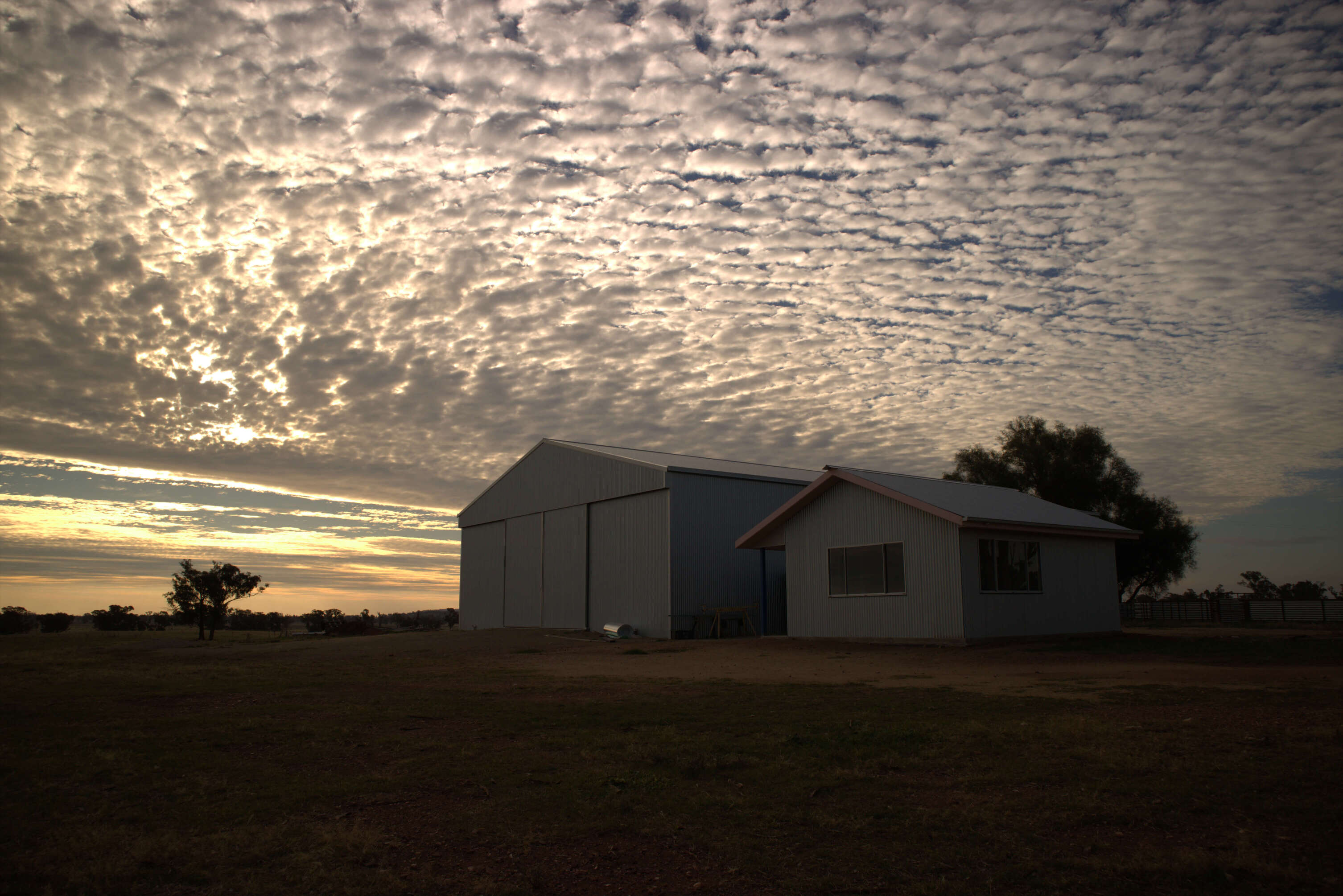 Shearing shed at dusk