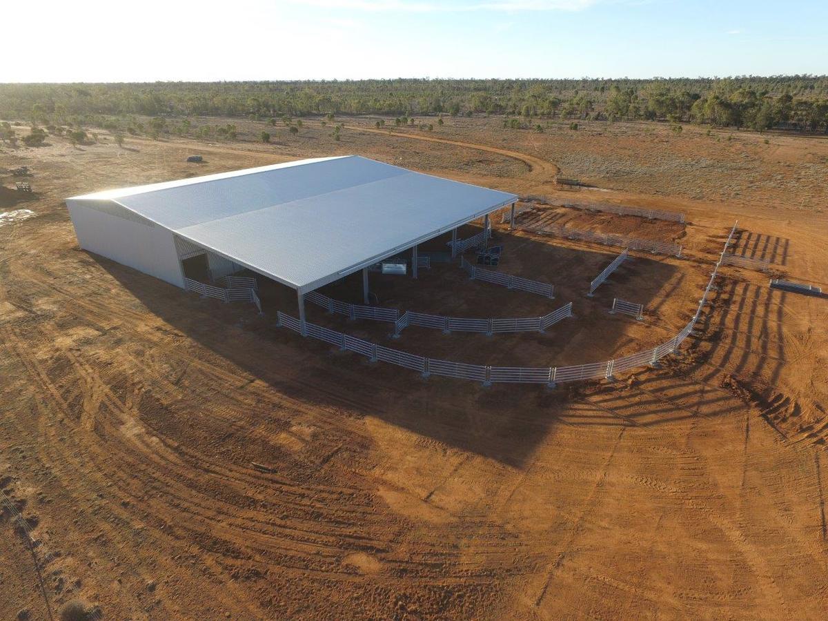 Top of Westmar shed