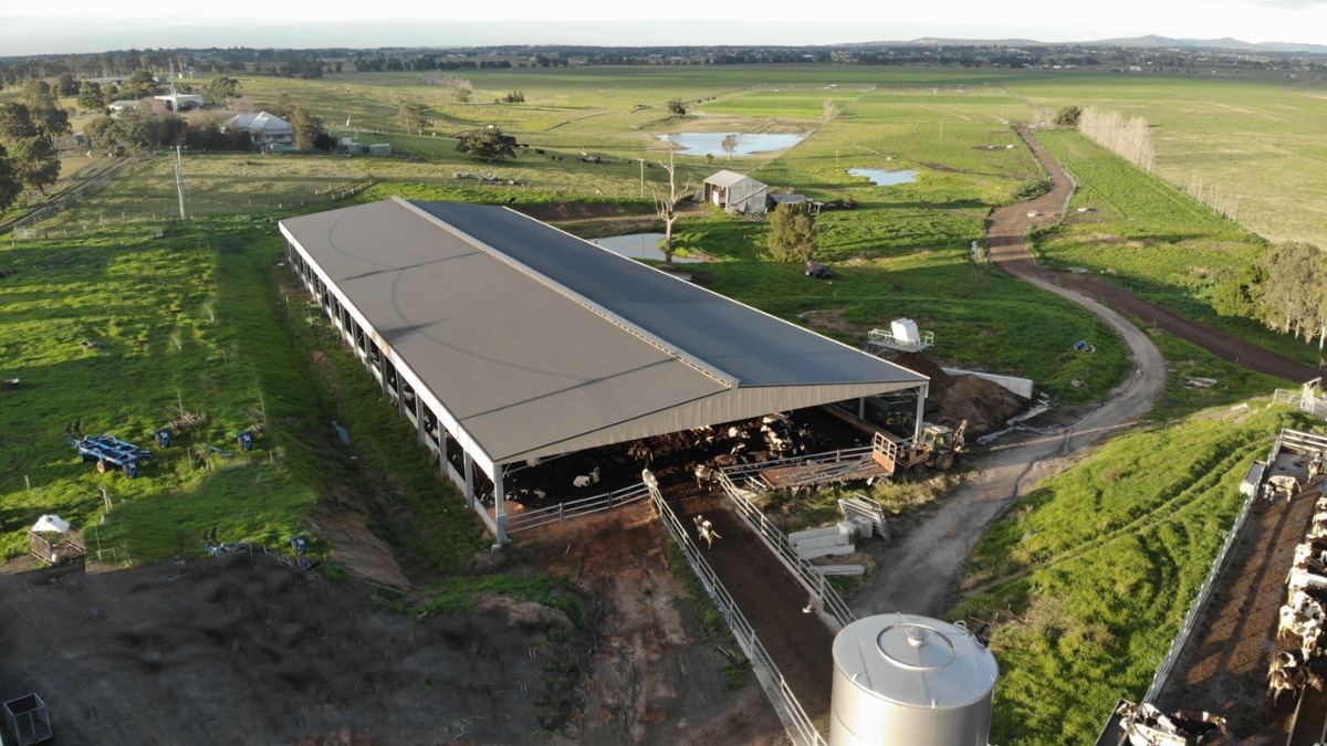ABC Sheds feedlot shelter in Woodville