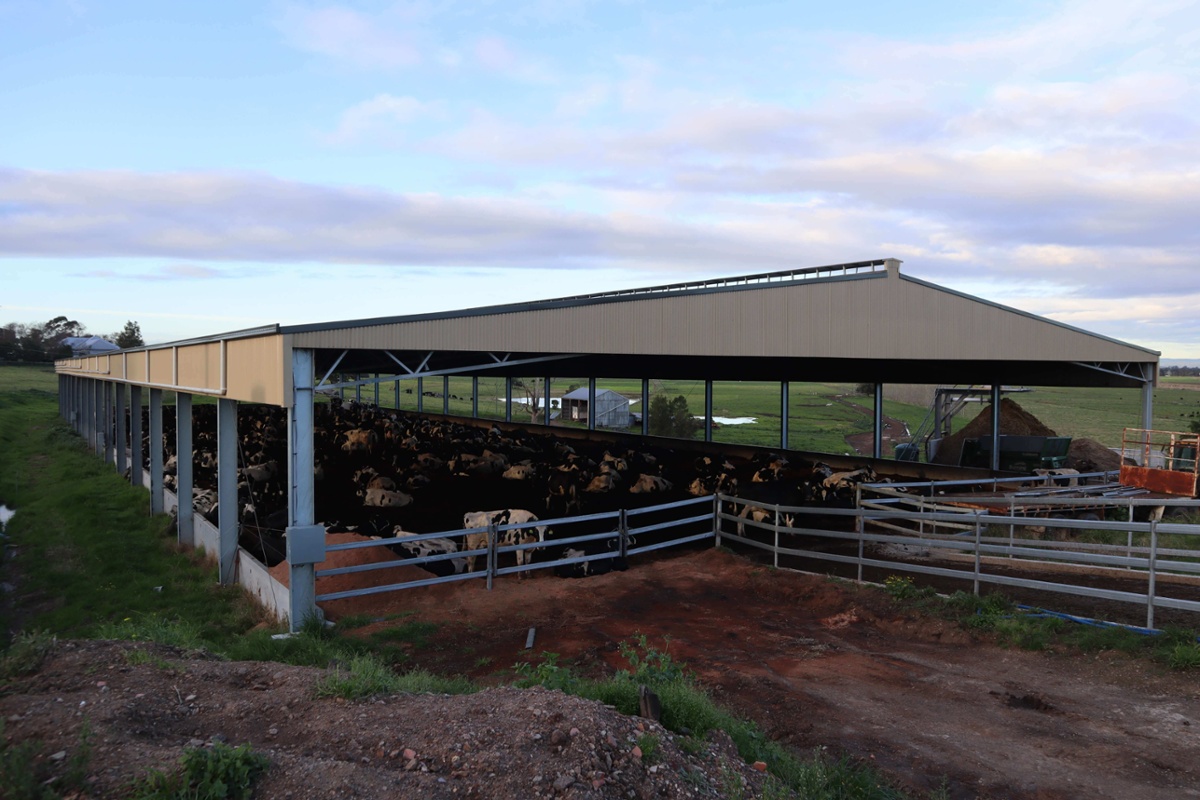 Slanted view of feedlot shelter