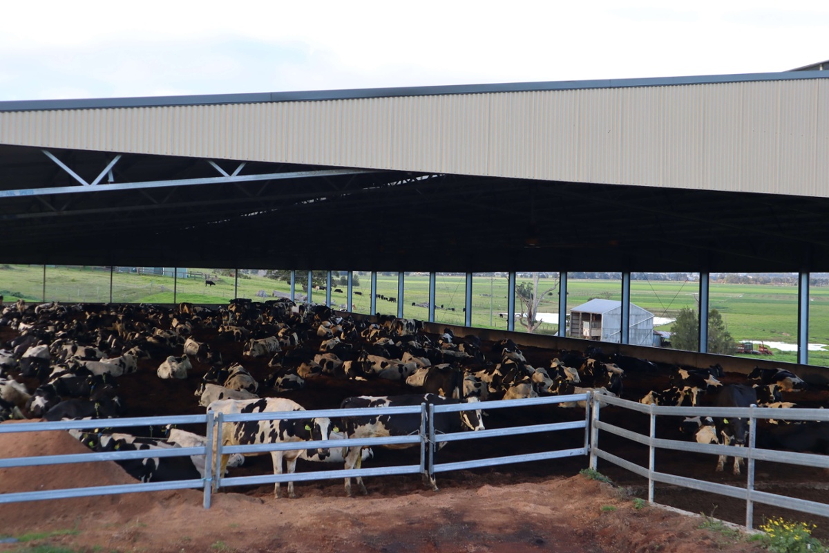 Close up view of feedlot shelter