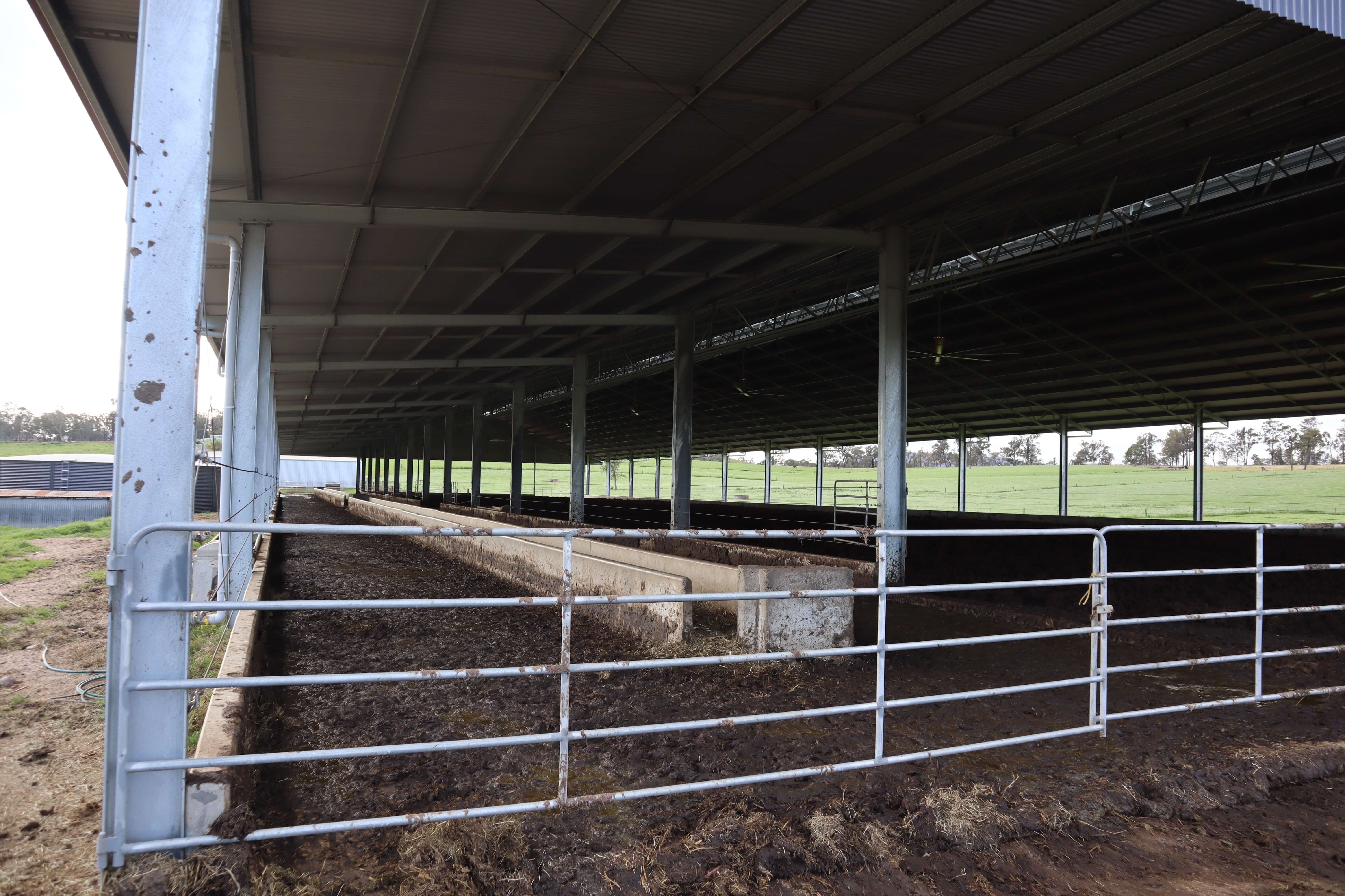 Interior of Vacy feedlot shelter