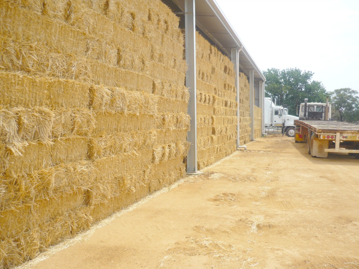 Close up view of Cowra hay shed