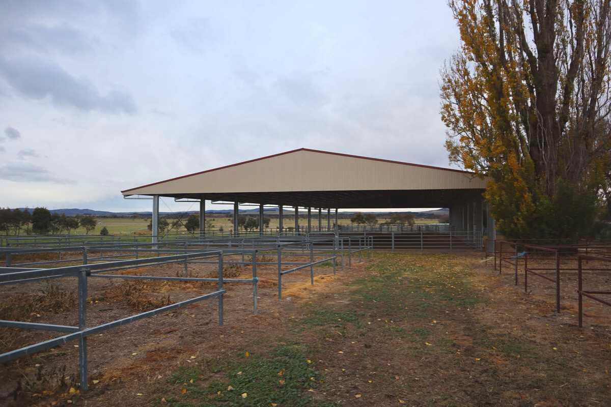 Dressage arena cover Bungendore