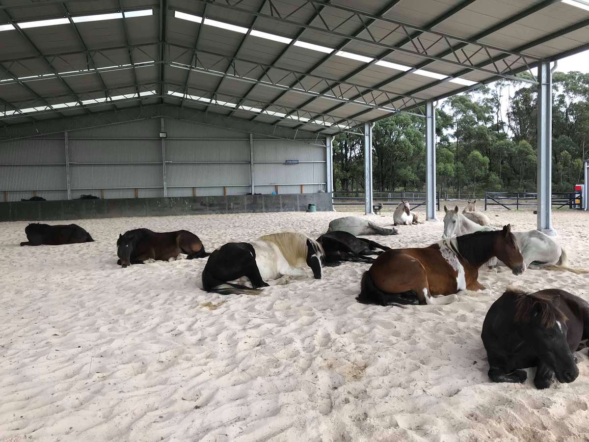 Inside dressage arena in Bungonia