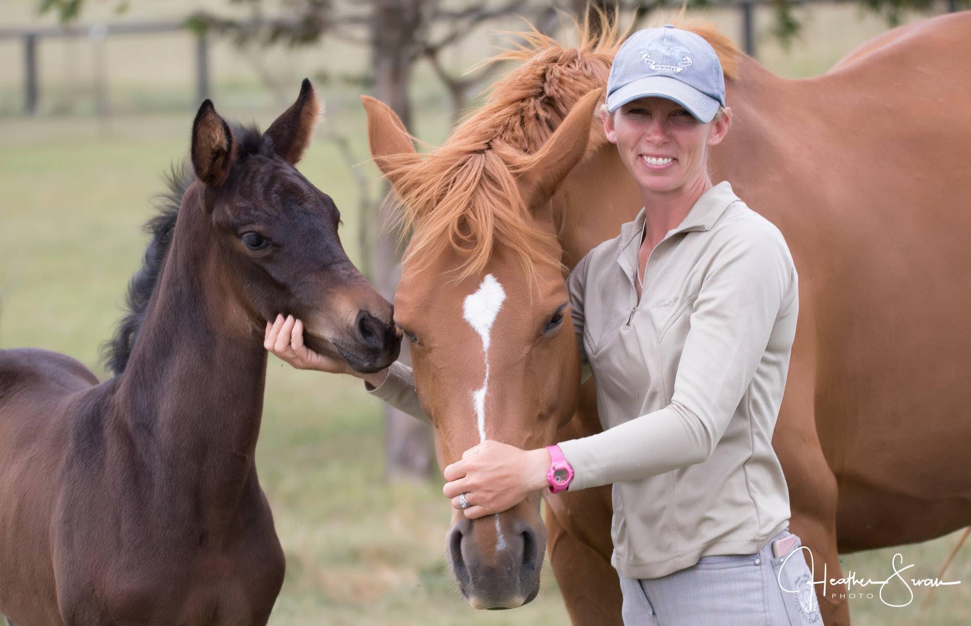 Christan Trainor - Glenhill Sporthorses