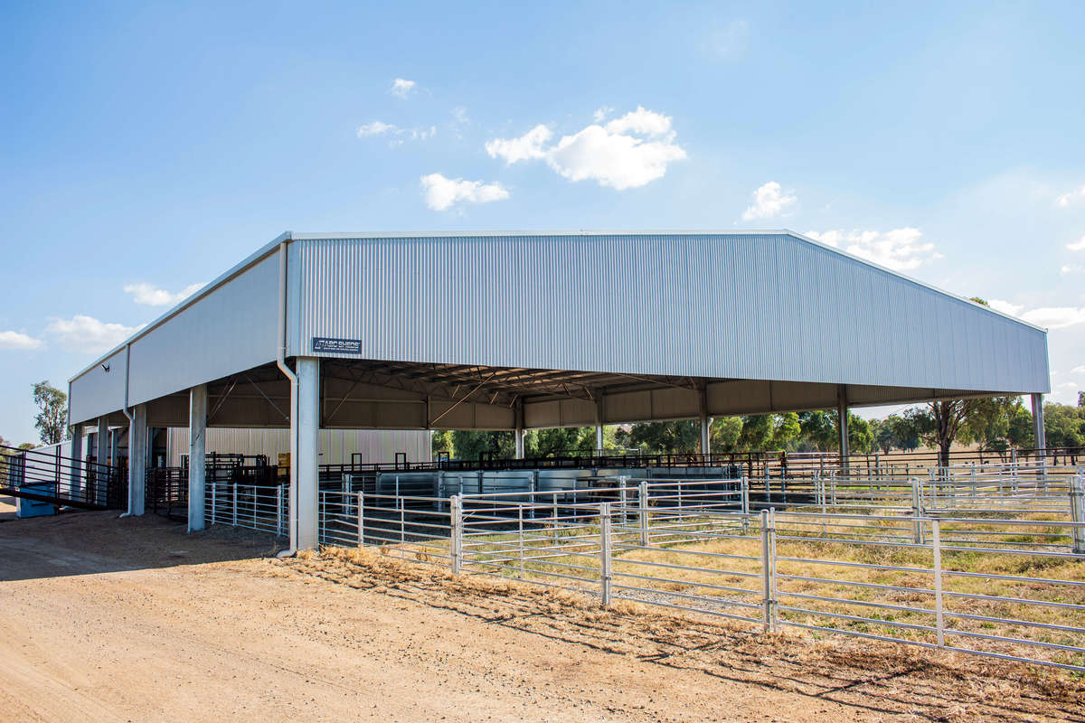 ABC Sheds yard cover