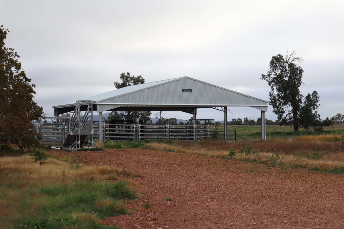 Slanted view of Cowra yard cover