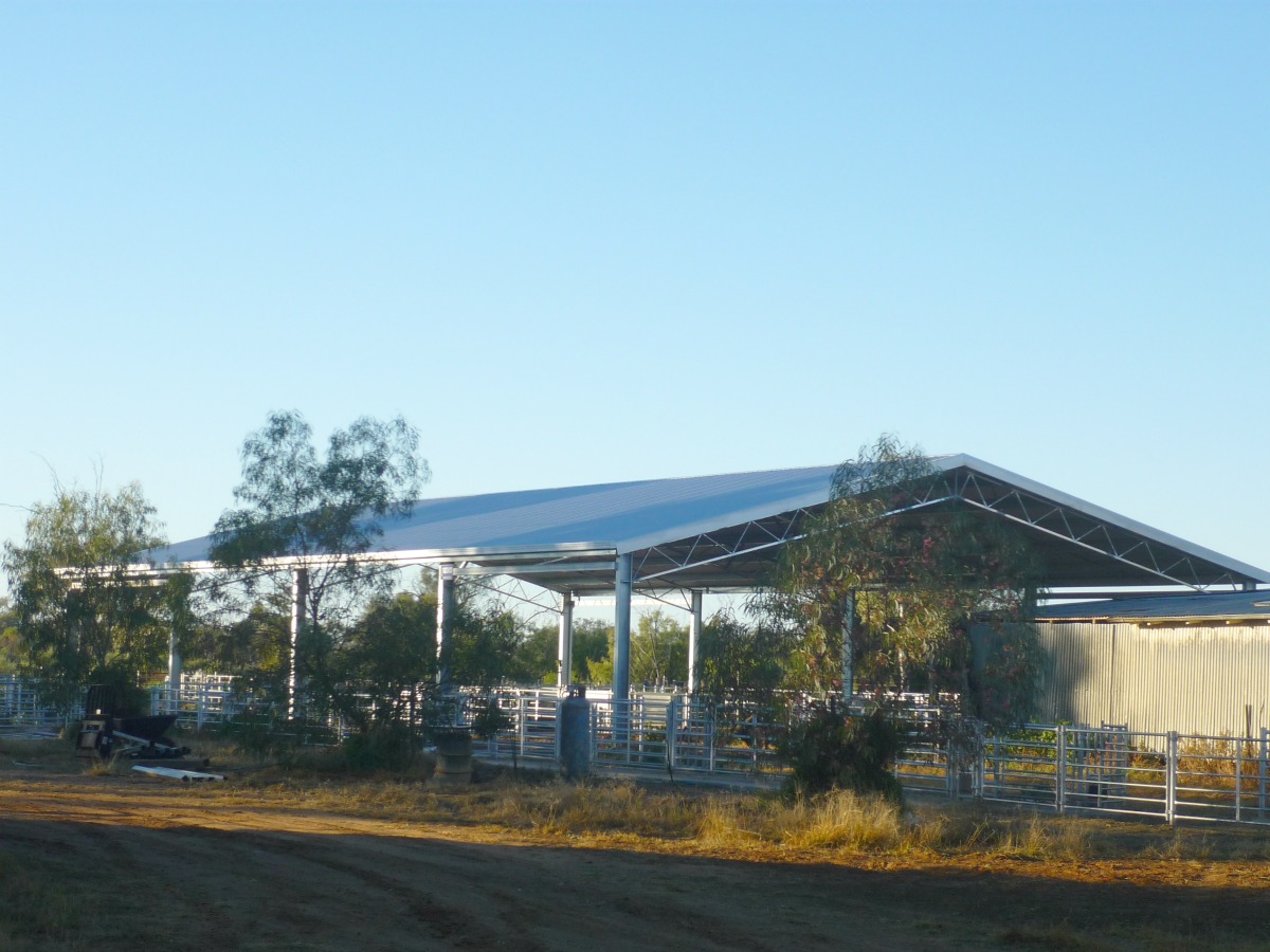 Slanted view of yard cover in Nyngan