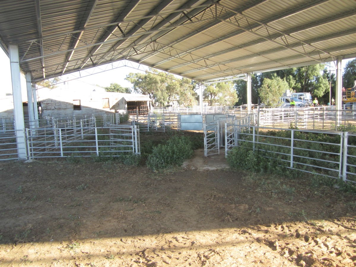 Inside of yard cover in Nyngan
