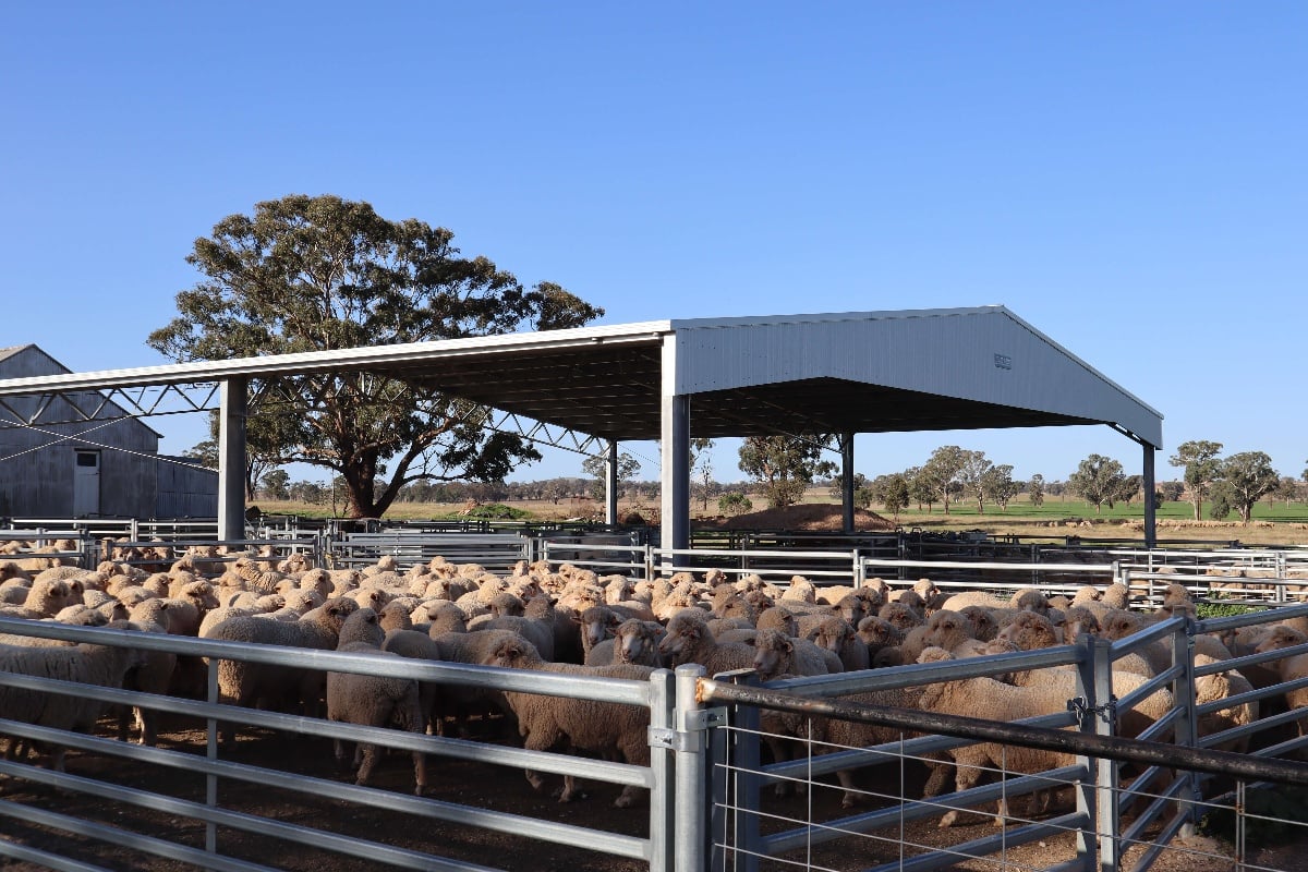 Yard cover completed in Tubbul NSW