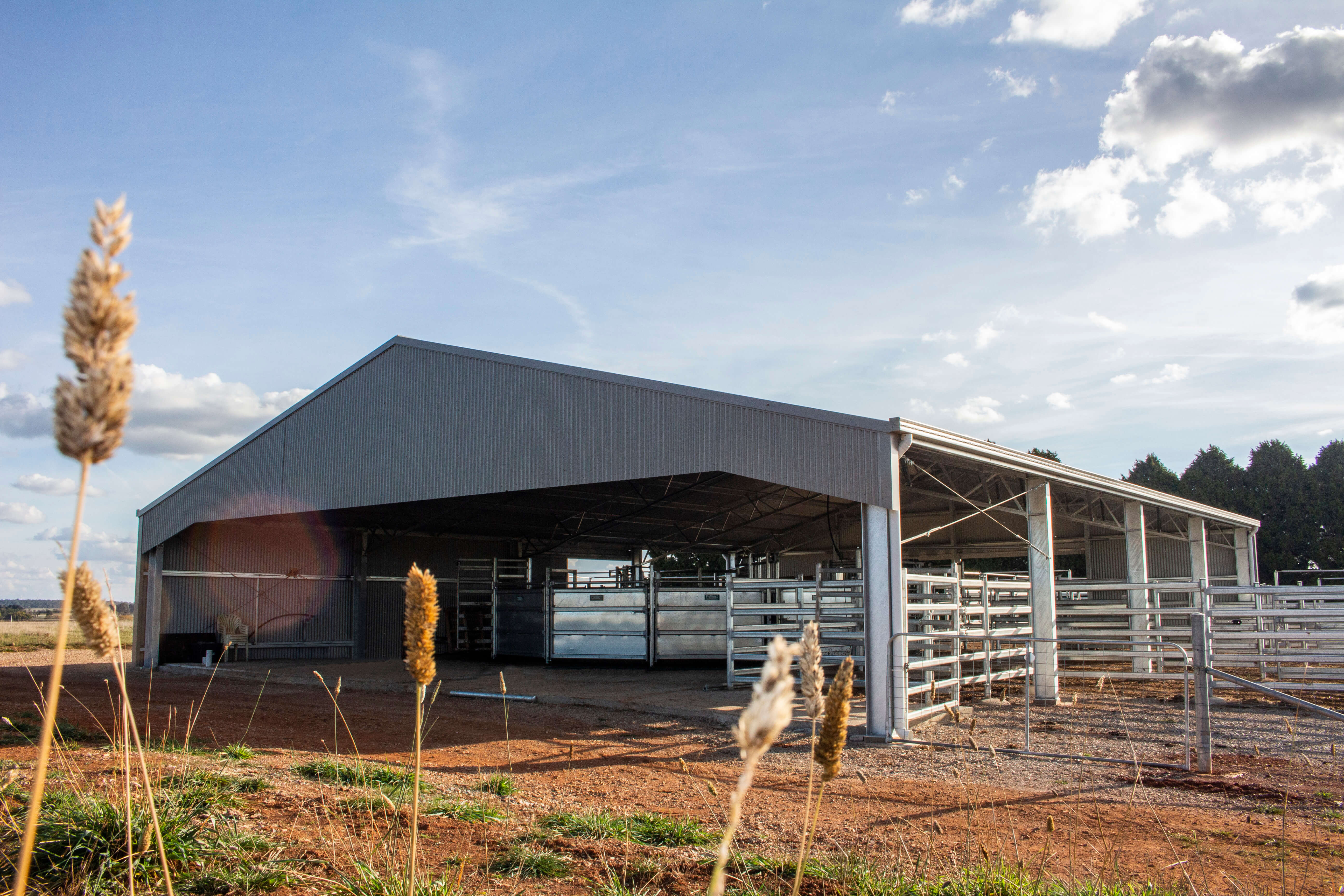 Farm shed with cattle yards in Crookwell NSW