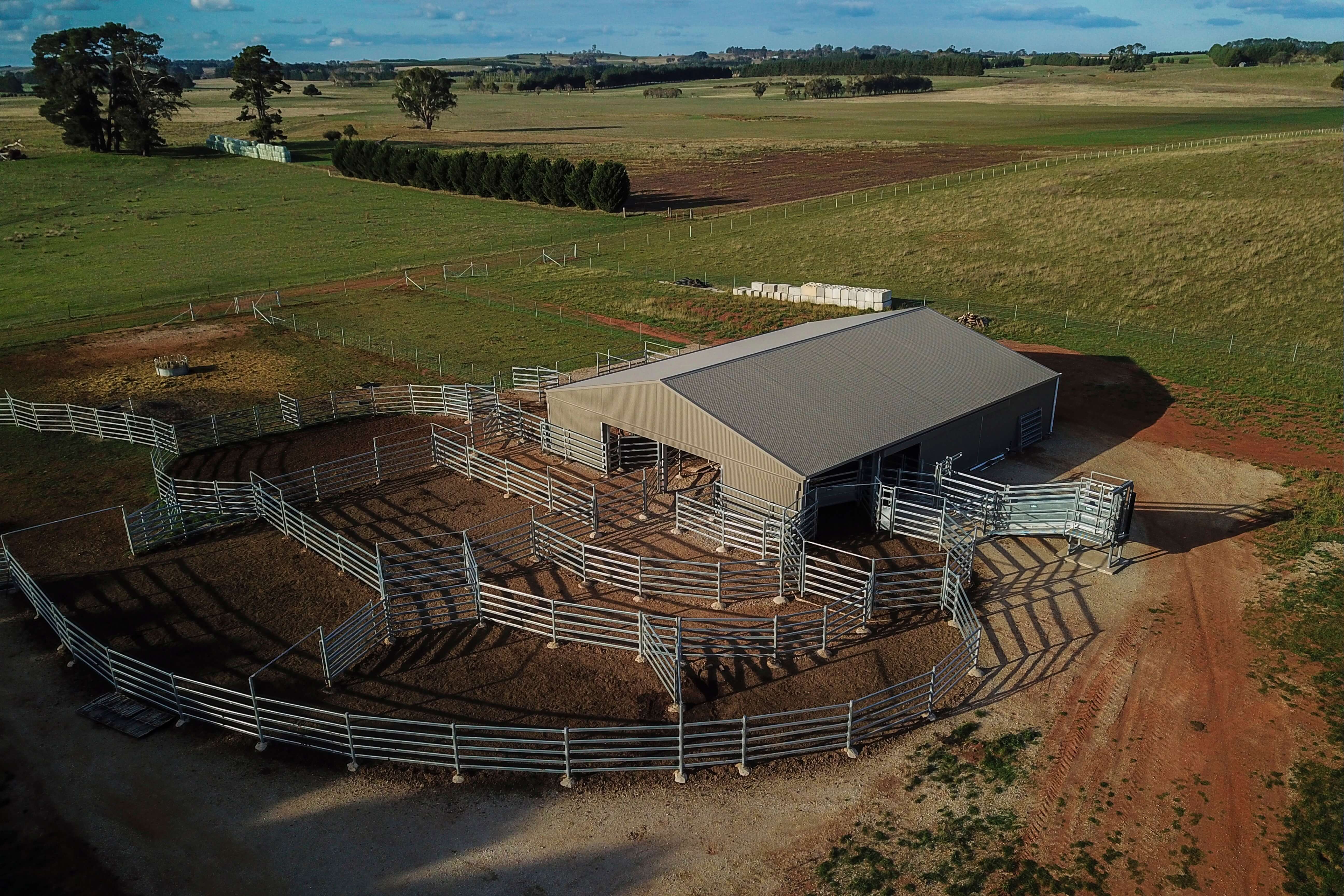 Dairy shed supplied by ABC Sheds