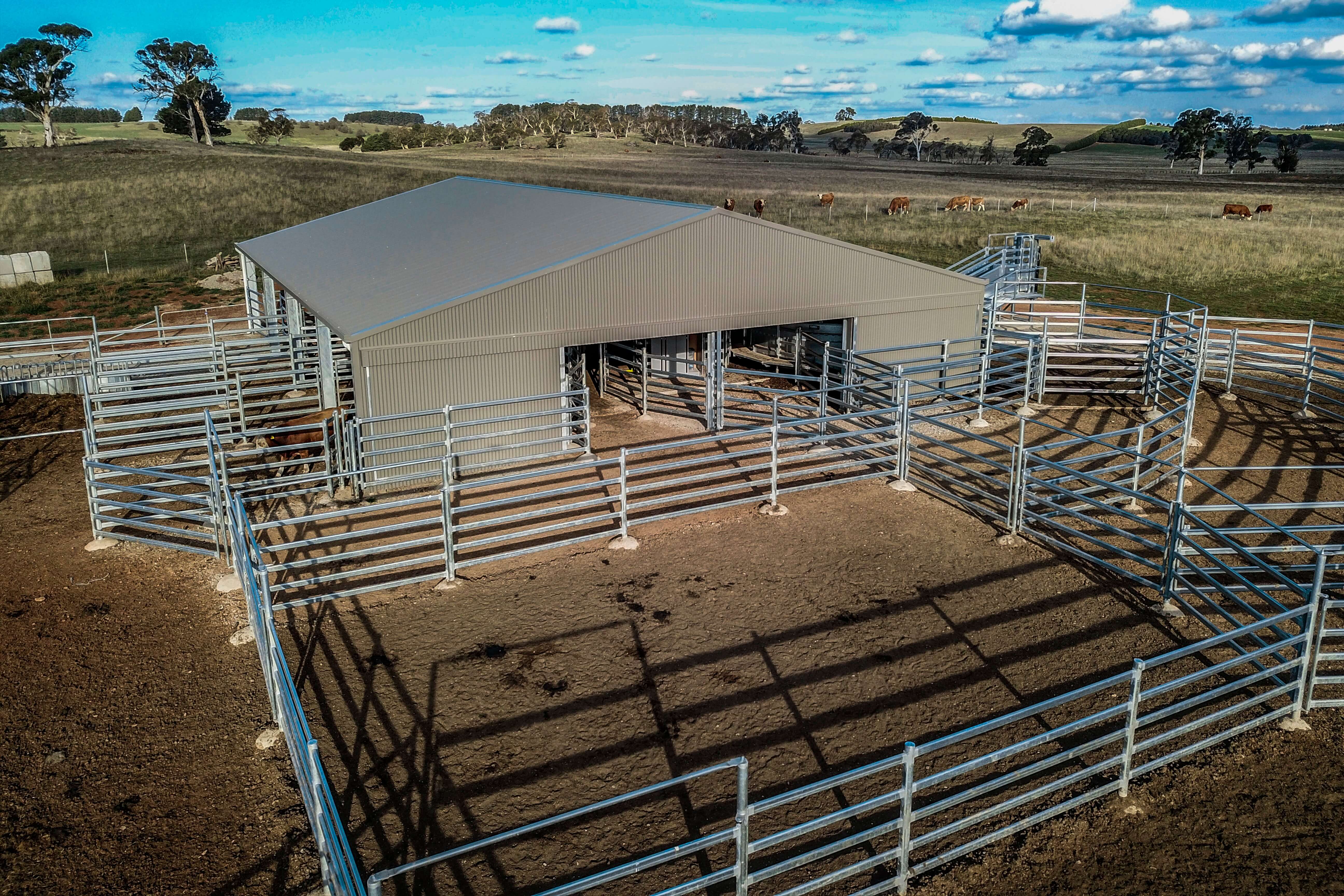 Steel shed with yards in NSW