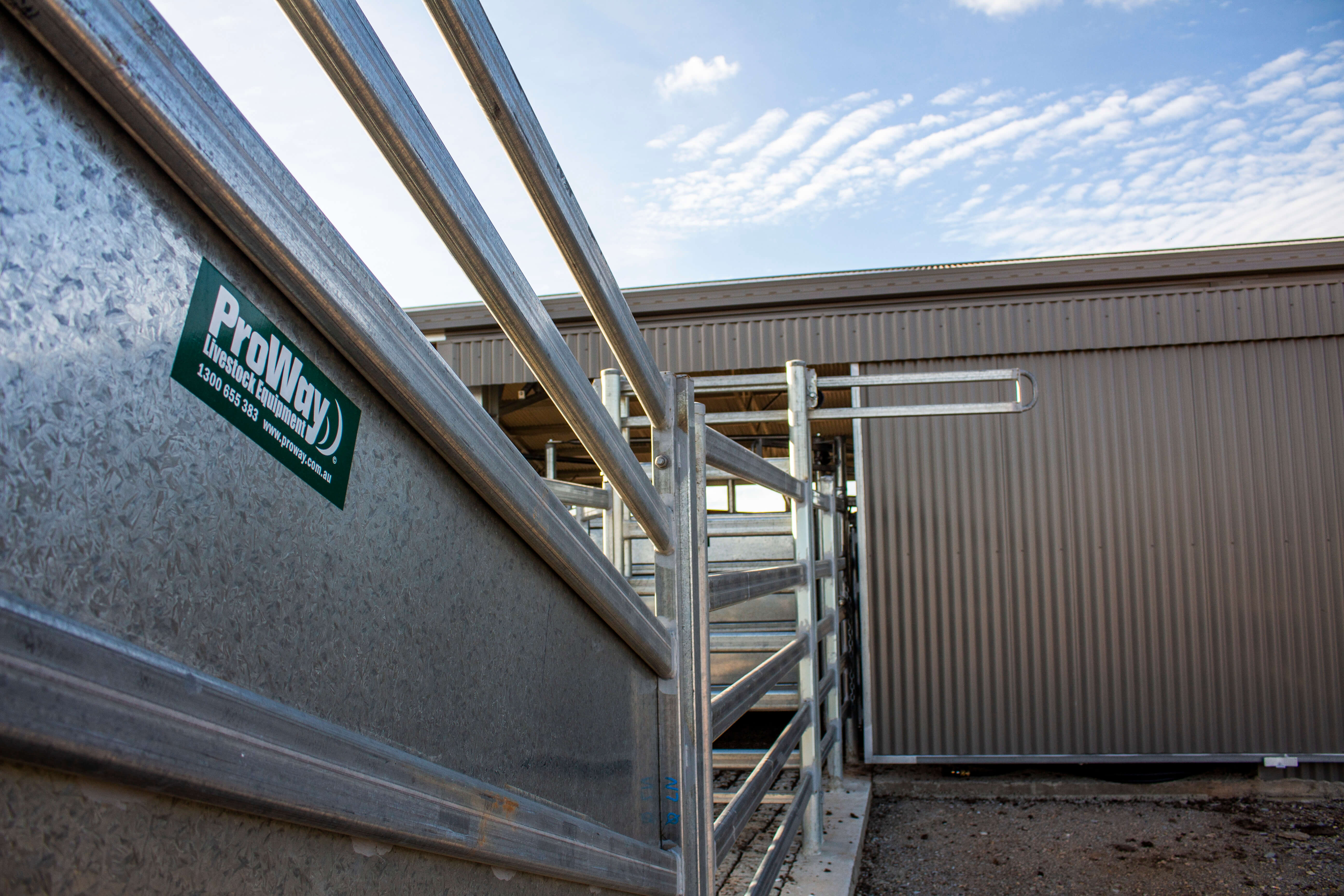 ABC Sheds steel shed ProWay cattle yards