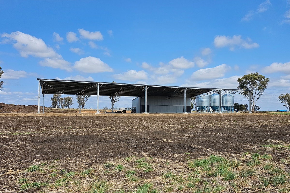 Farm shed for artificial insemination