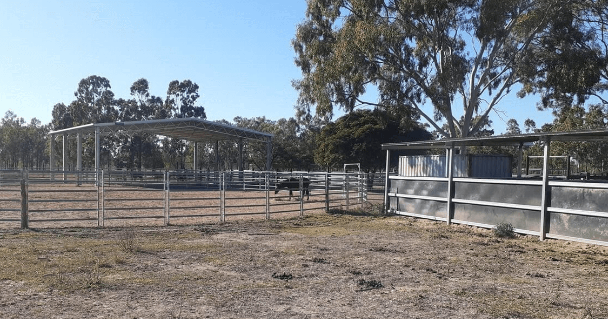 A custom dressage arena cover in Nebo, QLD