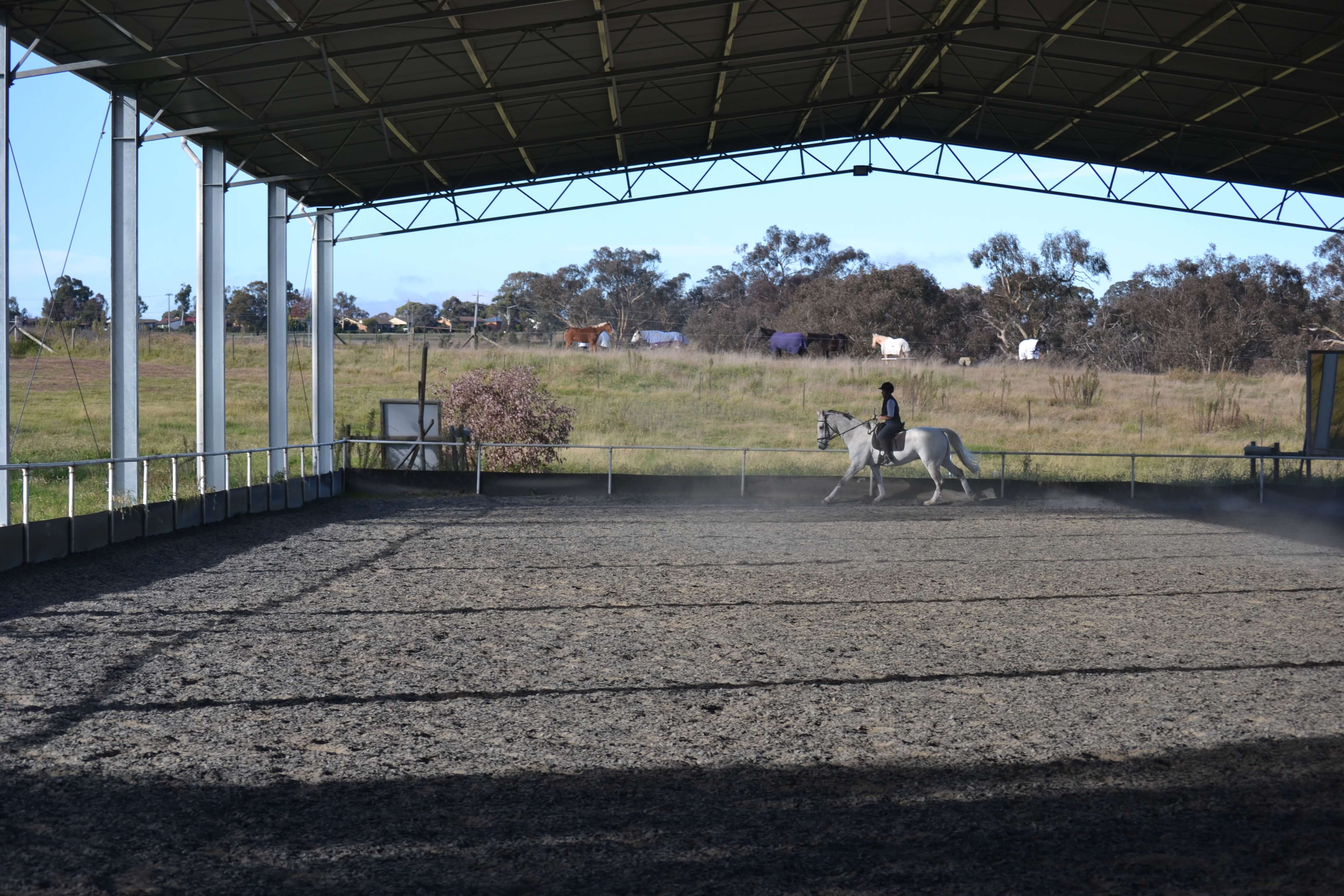 ABC Sheds horse arena
