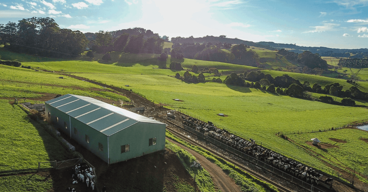 Steel Shed Manufacturers Farm Sheds Industrial Sheds 