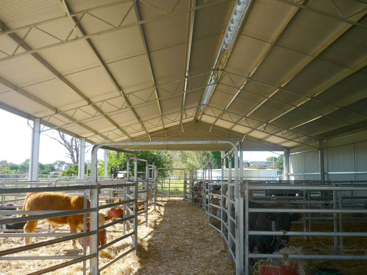 ABC Sheds feedlot shelter