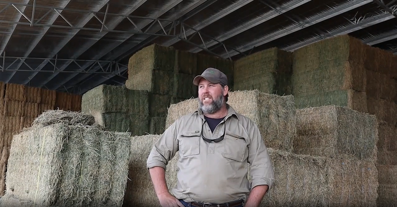 Hay shed by ABC Sheds
