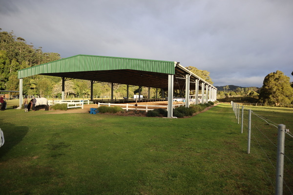 horse arena martinsville