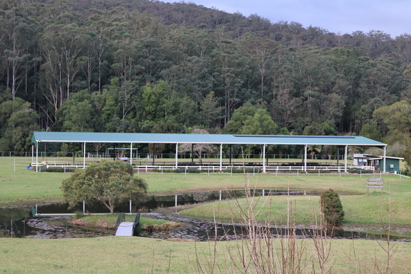 horse arena martinsville NSW